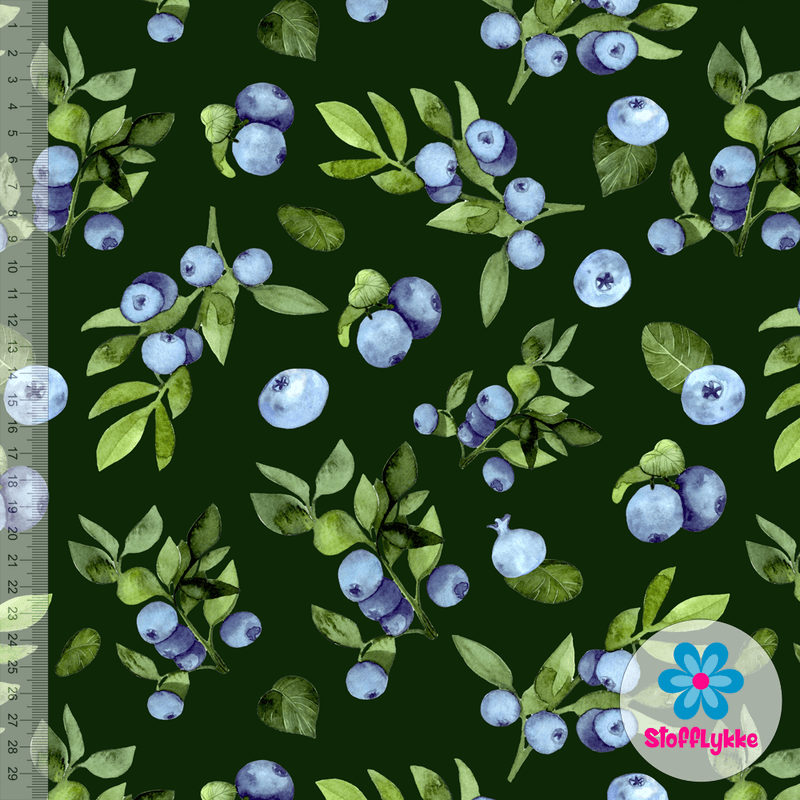 Blueberries - Jersey