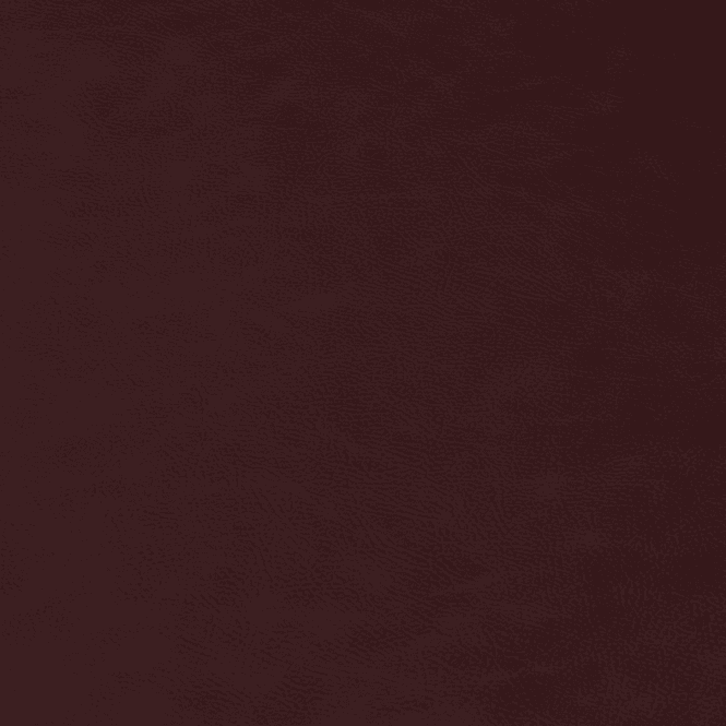 Hovedbilde Bordeaux Skinnlook - Veskevinyl