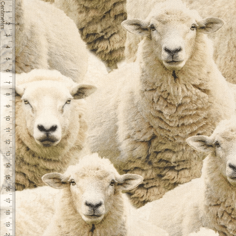 Sheep - Kanvas