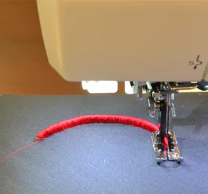 Hovedbilde Frynsefot (G4)