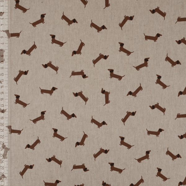 Wiener Dogs - Kanvas