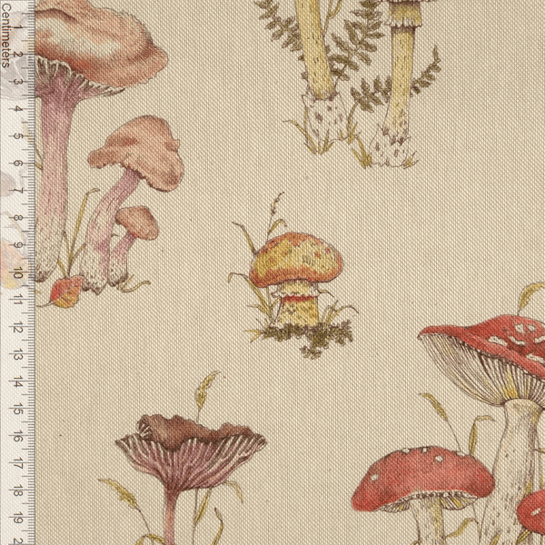 Mushrooms - Kanvas