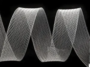 Hovedbilde Horsehair Braid Transparent - 25 mm