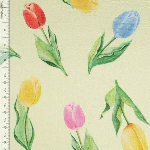 Spring Tulips - Kanvas