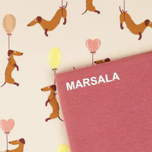 Hovedbilde Ballong Dachs Rosa - Jersey