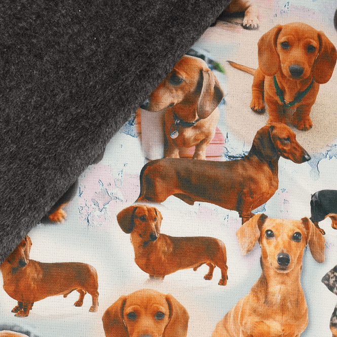 Hovedbilde Dachs - Minky Isoli