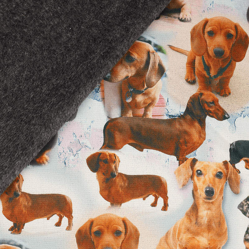 Dachs - Minky Isoli