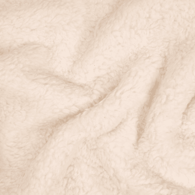 Ecru - Cotton Teddy