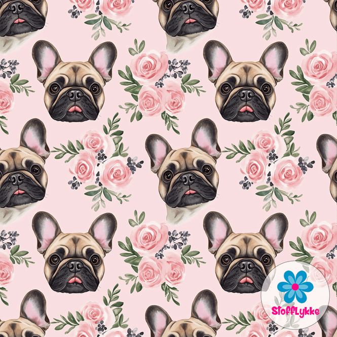 Hovedbilde Frenchie Love - Jersey