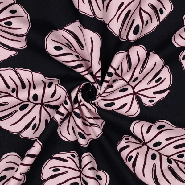 Midnight Monstera - Kanvas