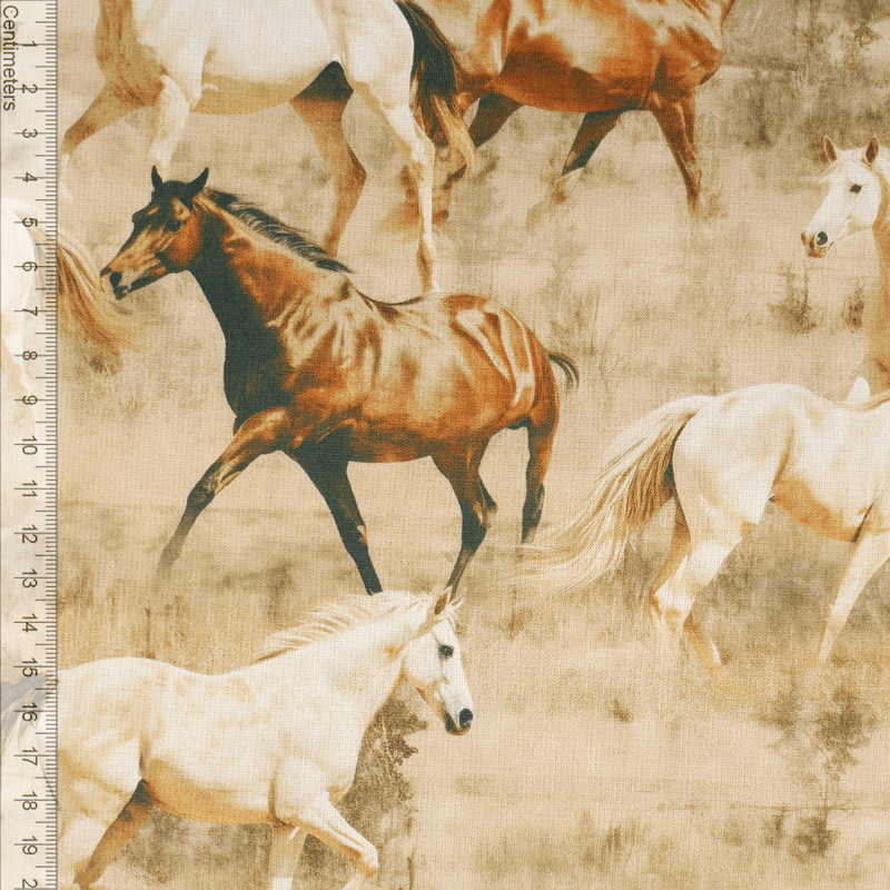 Horses - Minky Isoli