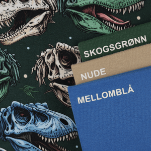 Hovedbilde T-Rex Jaws - Jersey