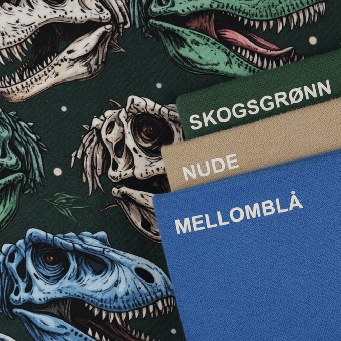 Hovedbilde T-Rex Jaws - Jersey